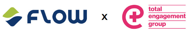 flow_teg_logo